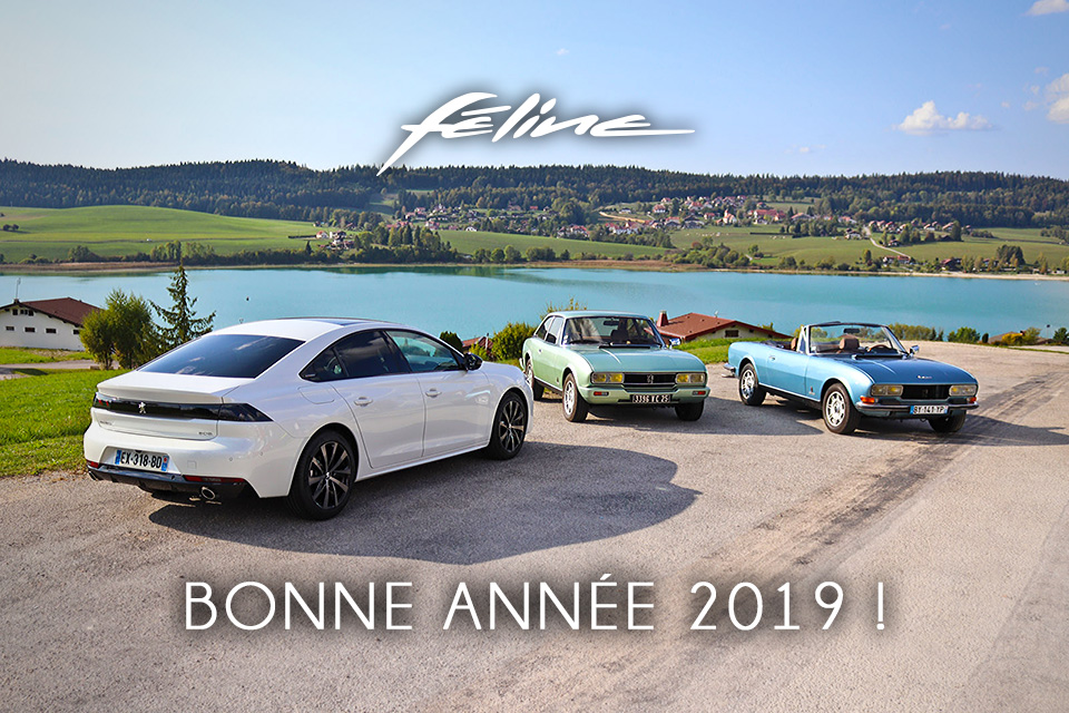 Une heureuse et féline année 2019 !