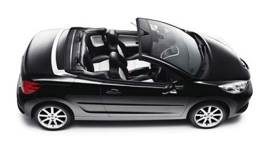 Photo of Peugeot 207 CC Roland Garros