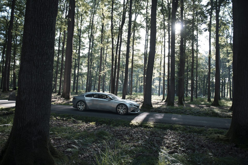 Photo Peugeot Exalt Concept Europe (2014)