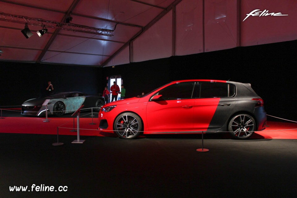 Peugeot 308 R Concept (2013) et Peugeot Onyx Concept (2012) - Co