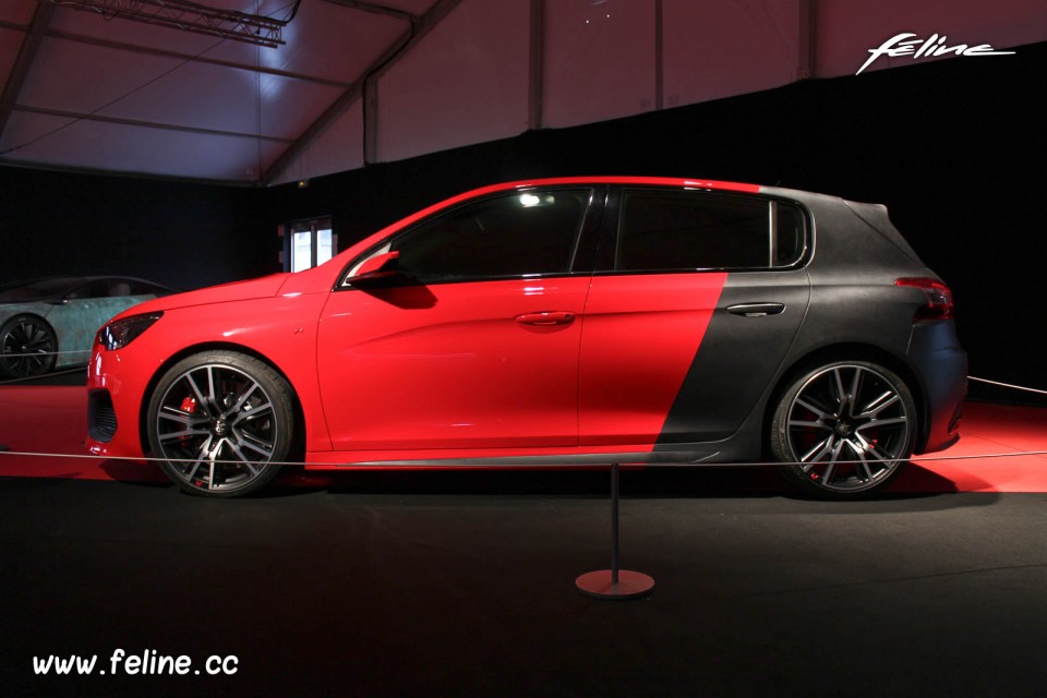 Profil Peugeot 308 R Concept (2013) - Concept Cars 2014 Paris