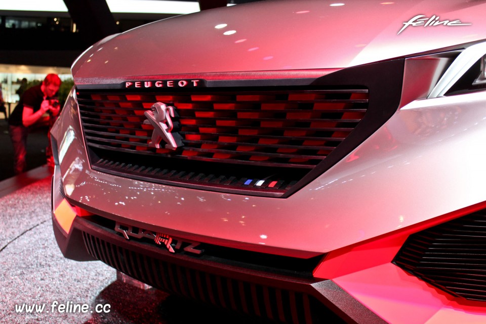 Photo calandre avant Peugeot Quartz Concept (2014) - Salon de Pa