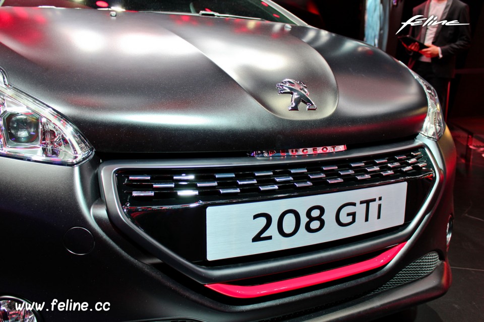 Photo calandre avant Peugeot 208 GTi 30th - Salon de Paris 2014