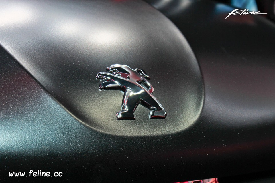 Photo sigle Lion Peugeot 208 GTi 30th - Salon de Paris 2014