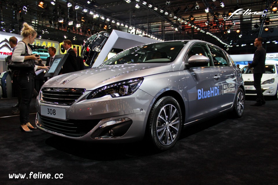 Photo Peugeot 308 Gris Artense - Salon de Paris 2014