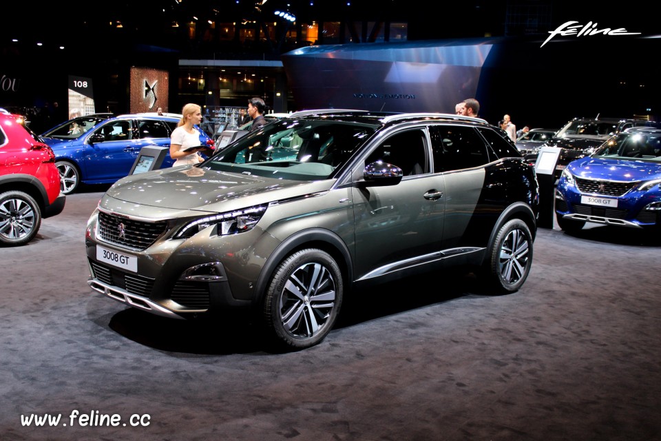 Photo Peugeot 3008 II Coupe Franche Gris Amazonite - Salon de Pa