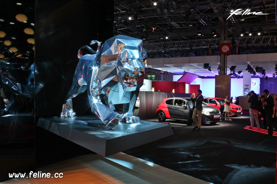 Photo pôle Peugeot Sport - Salon de Paris 2016