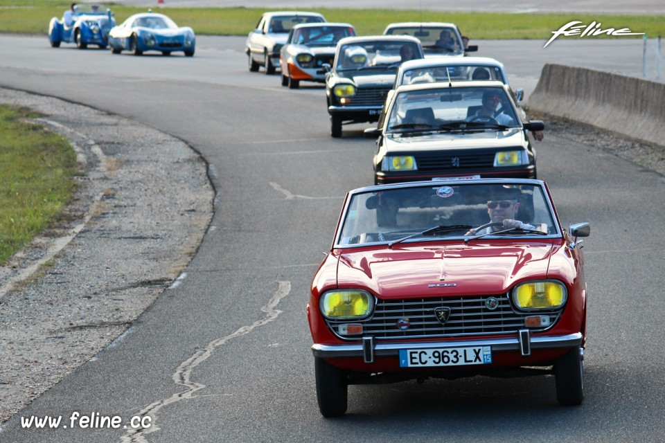 Photo Peugeot 204 Cabriolet - Les Grandes Heures Automobiles 201