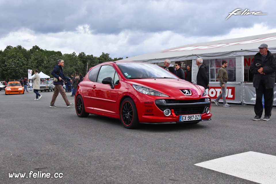 Photo Peugeot 207 - Liberté, Egalité, Roulez 2019