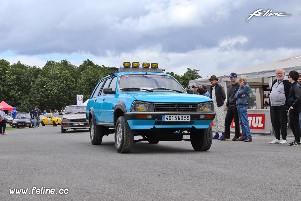 Photo Peugeot 505 - Liberté, Egalité, Roulez 2019