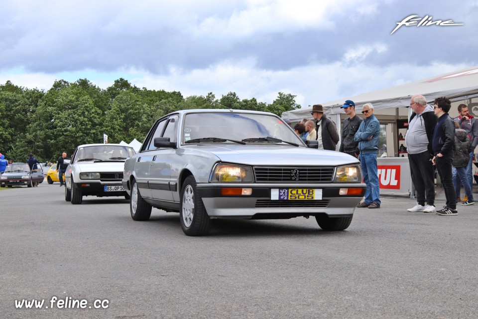 Photo Peugeot 505 - Liberté, Egalité, Roulez 2019