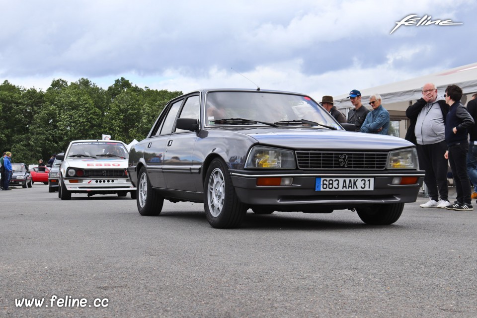 Photo Peugeot 505 - Liberté, Egalité, Roulez 2019