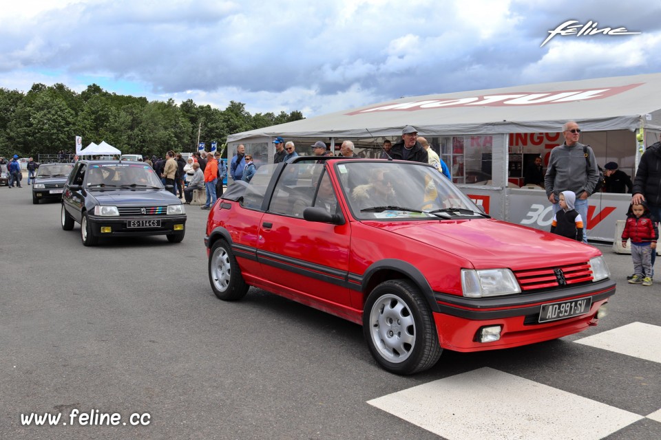 Photo Peugeot 205 CTi Cabriolet - Liberté, Egalité, Roulez 201