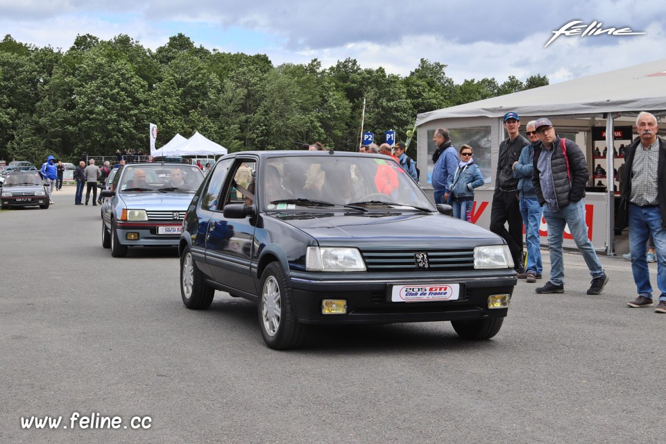 Photo Peugeot 205 Gentry - Liberté, Egalité, Roulez 2019