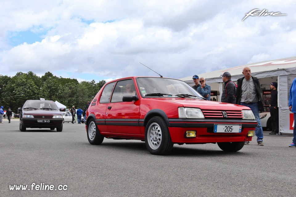 Photo Peugeot 205 GTi - Liberté, Egalité, Roulez 2019