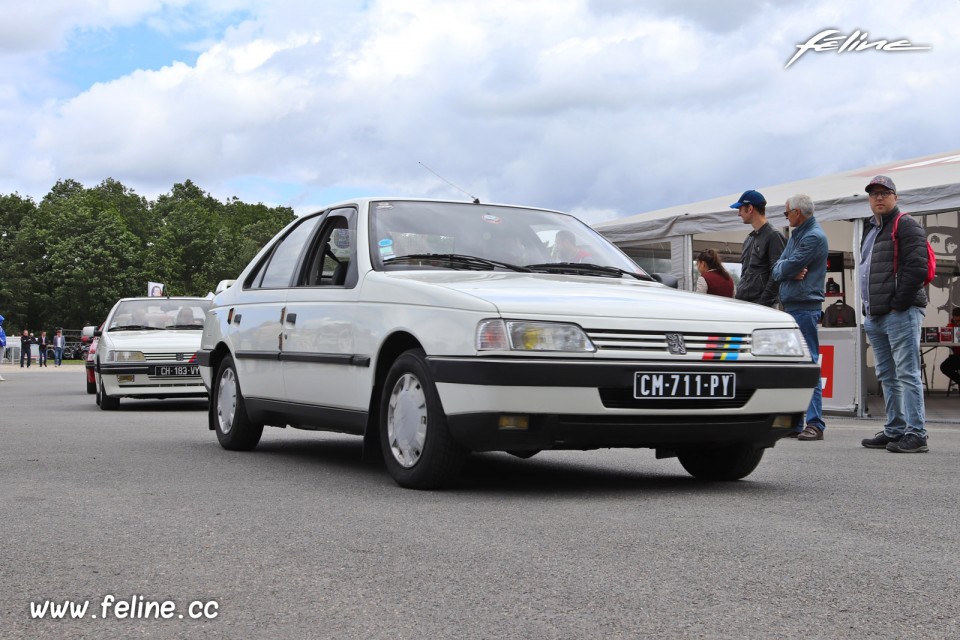 Photo Peugeot 405 - Liberté, Egalité, Roulez 2019