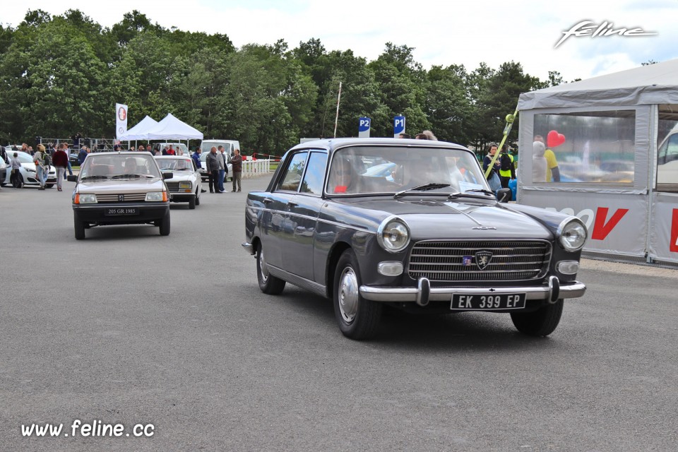 Photo Peugeot 404 Berline - Liberté, Egalité, Roulez 2019