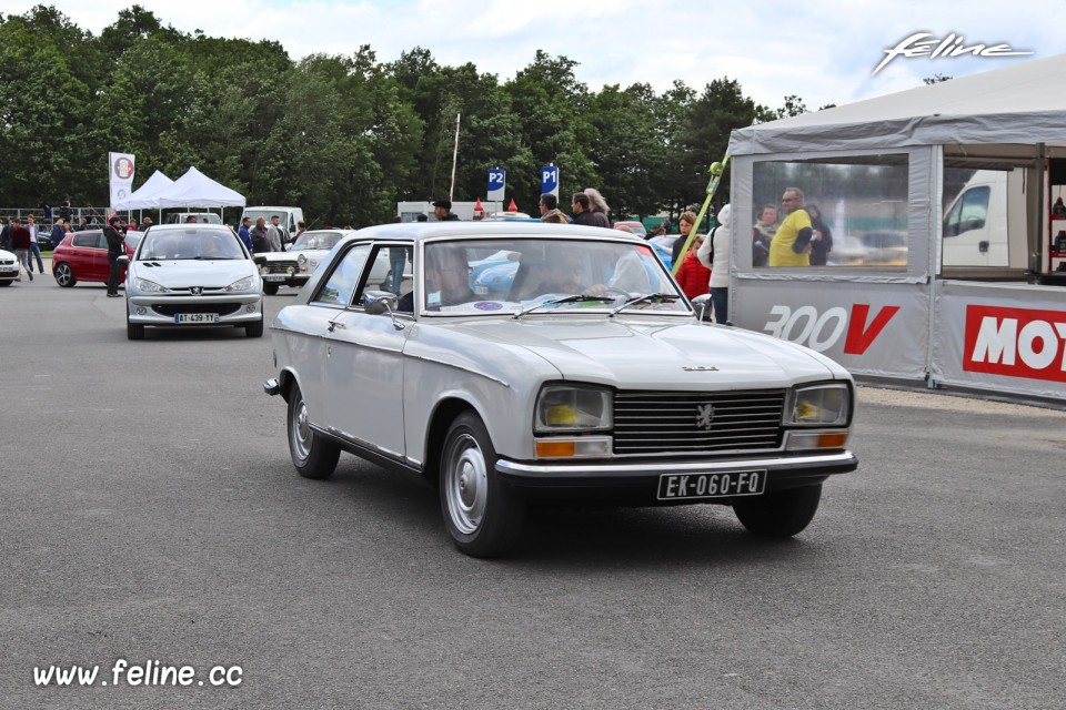 Photo Peugeot 304 Coupé - Liberté, Egalité, Roulez 2019