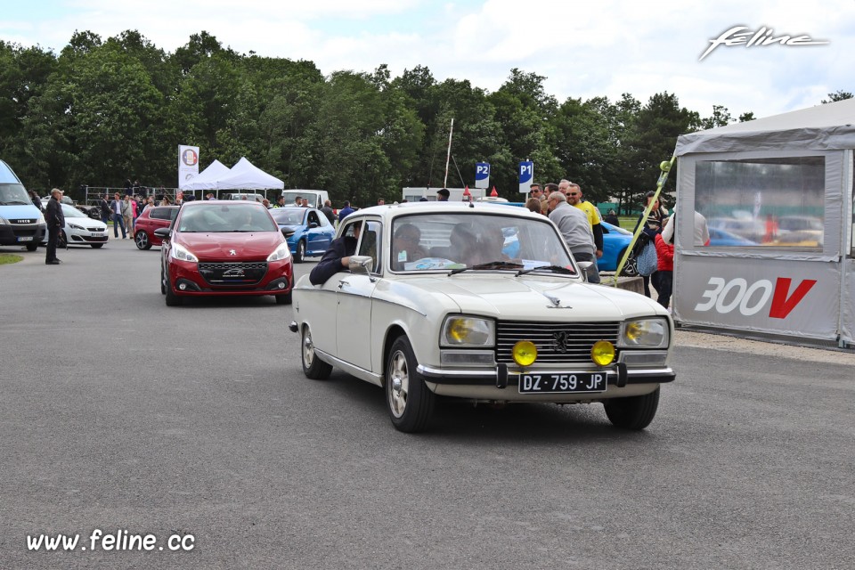 Photo Peugeot 304 Berline - Liberté, Egalité, Roulez 2019