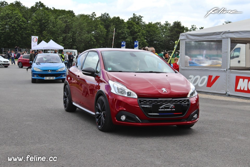 Photo 208 GTi by Peugeot Sport - Liberté, Egalité, Roulez 2019