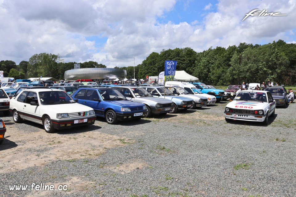 Photo rassemblement Peugeot - Liberté, Egalité, Roulez 2019