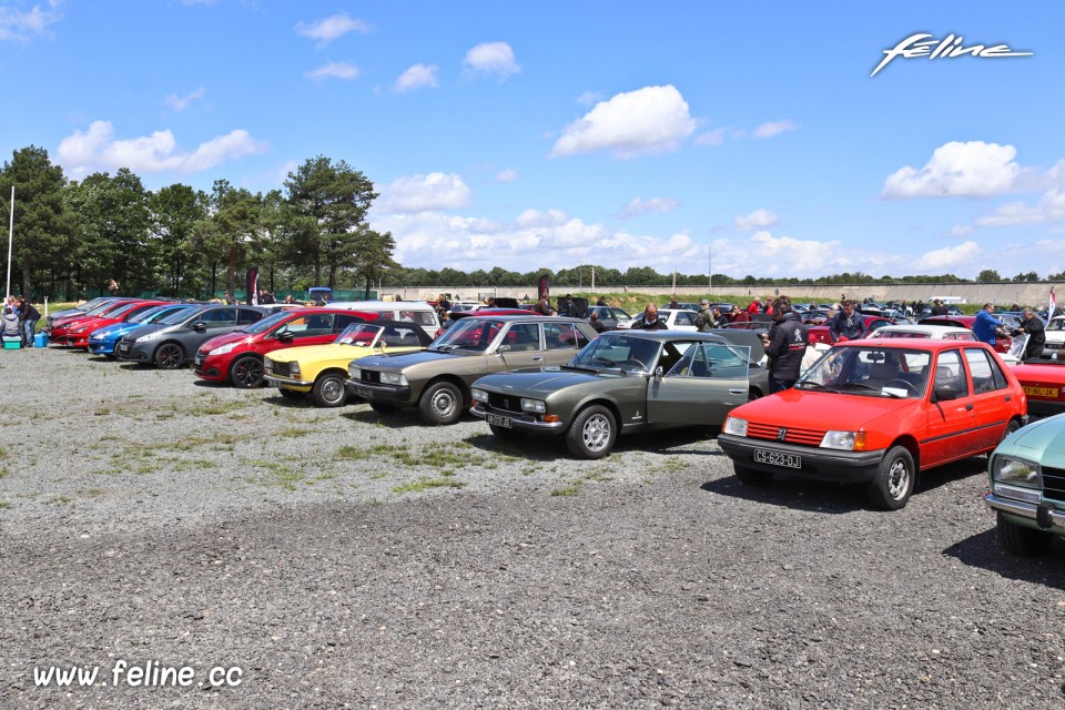 Photo parking Peugeot - Liberté, Egalité, Roulez 2019