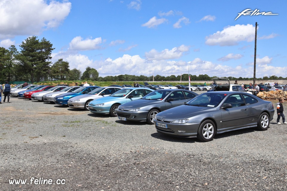 Photo rassemblement Peugeot - Liberté, Egalité, Roulez 2019