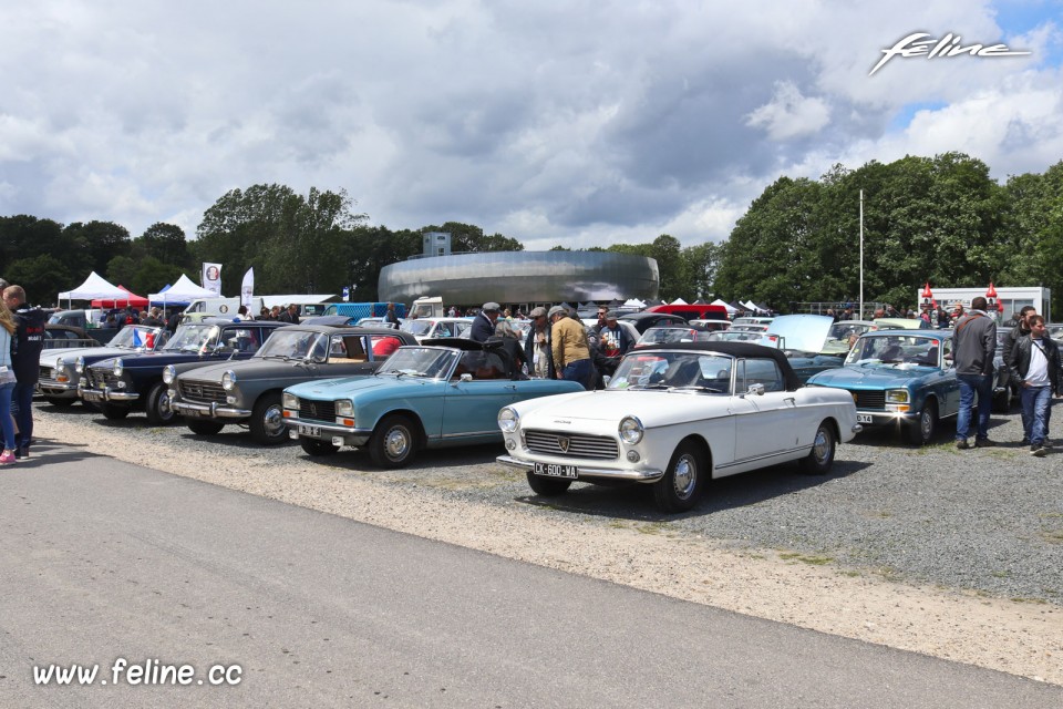 Photo rassemblement Peugeot - Liberté, Egalité, Roulez 2019