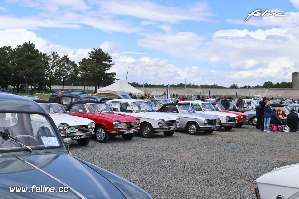 Photo parking Peugeot - Liberté, Egalité, Roulez 2019