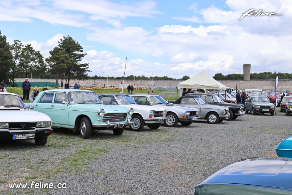 Photo rassemblement Peugeot - Liberté, Egalité, Roulez 2019