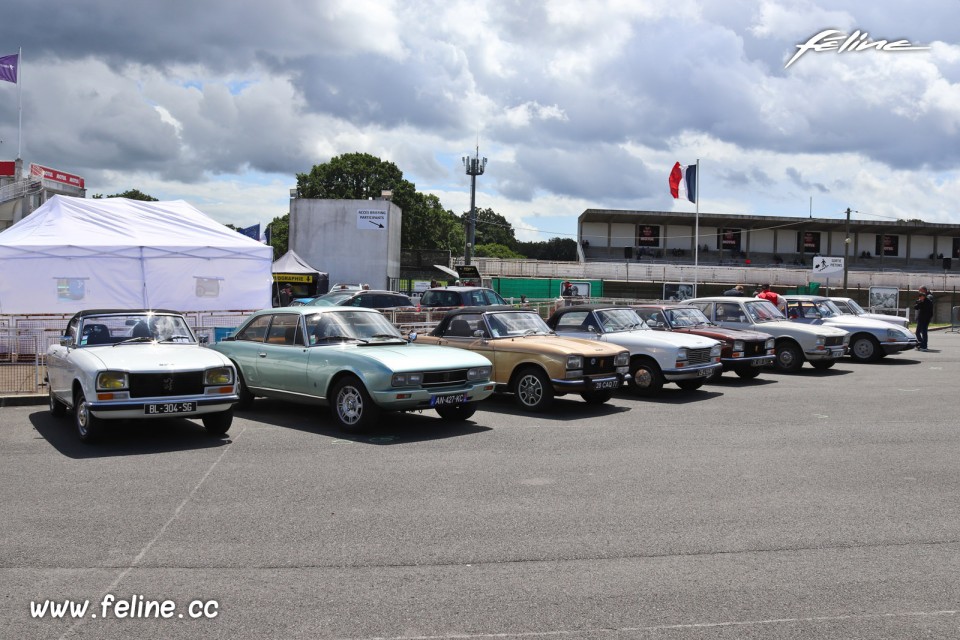 Photo parking Peugeot - Liberté, Egalité, Roulez 2019