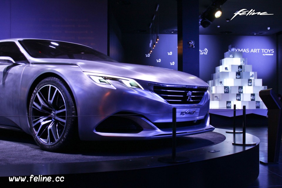 Vitrine Peugeot Avenue Paris Noël - Novembre 2014