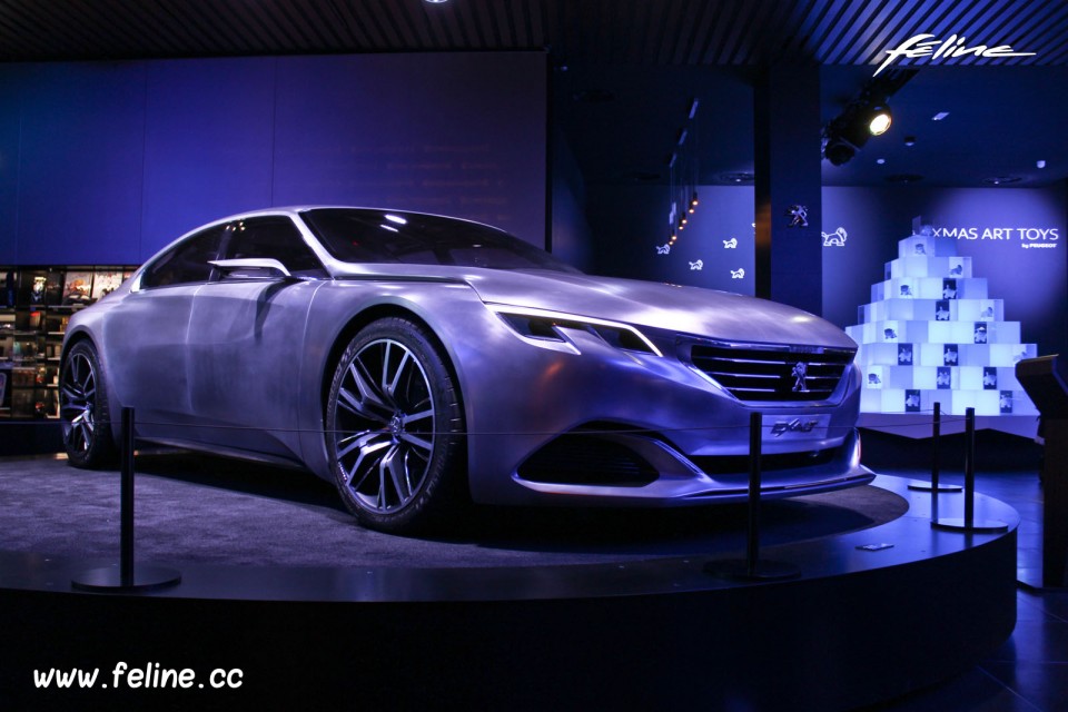 Vitrine Peugeot Avenue Paris Noël - Novembre 2014