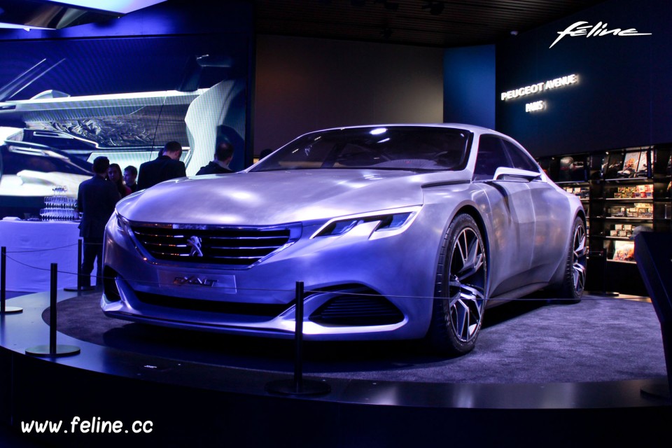 Vitrine Peugeot Avenue Paris Noël - Novembre 2014