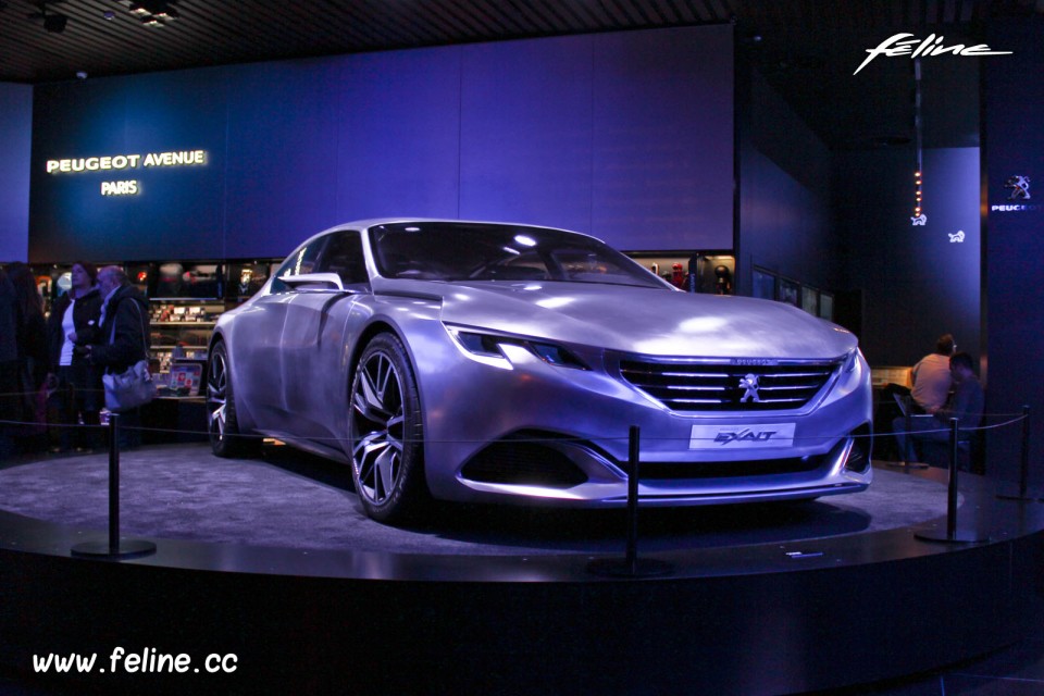 Vitrine Peugeot Avenue Paris Noël - Novembre 2014