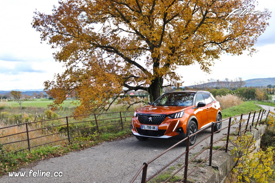 Photo essai route Peugeot 2008 II GT PureTech 155 (2019)