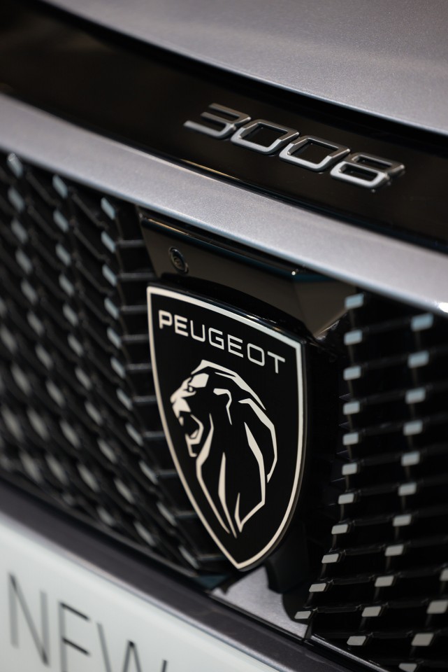 Photo logo Peugeot Peugeot e-3008 III Gris Artense - Présentation officielle (2023)