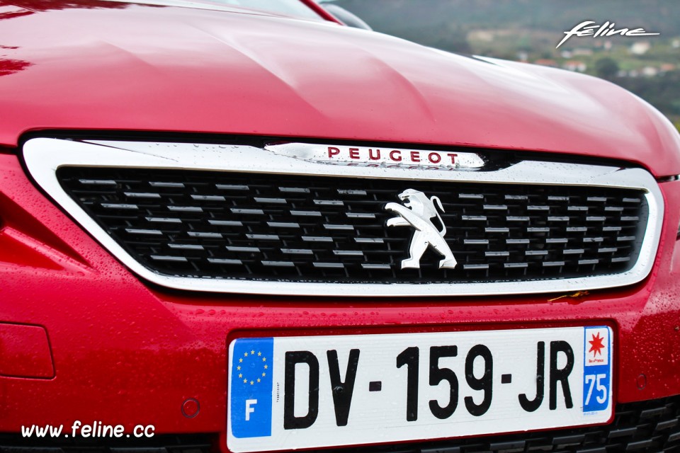 Photo calandre avant Peugeot 308 GTi by Peugeot Sport (2015)