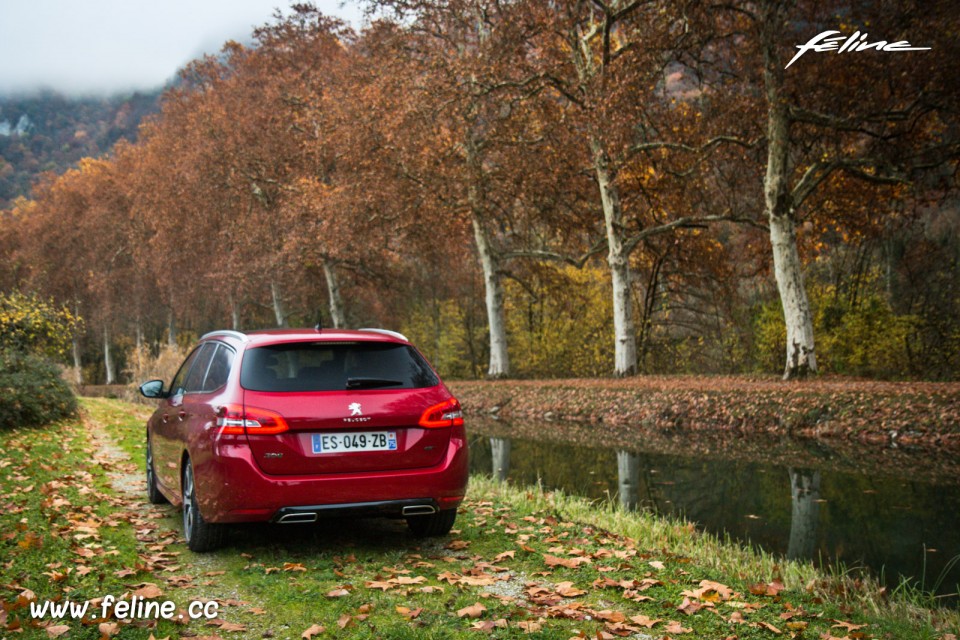 Photo face arrière statique Peugeot 308 SW GT restylée Rouge U