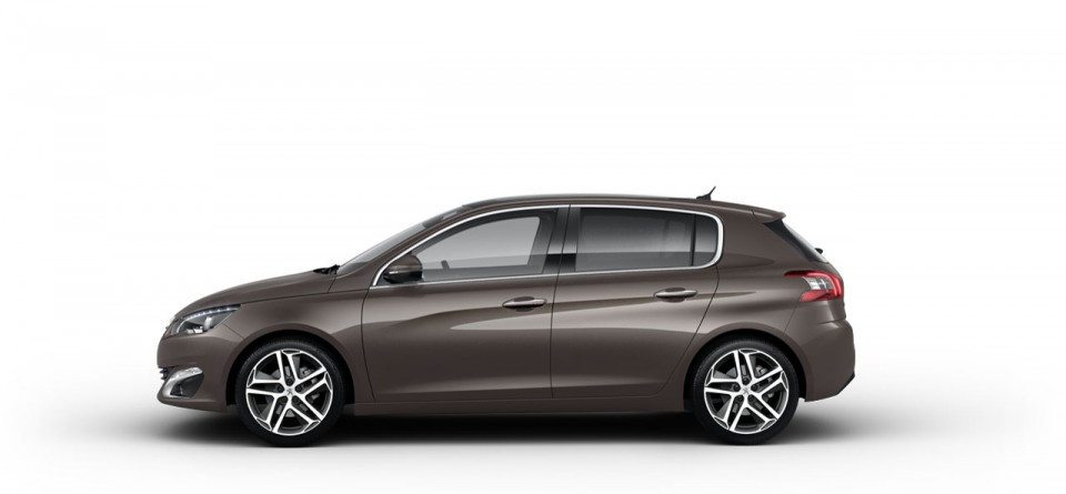 Photo profil Peugeot 308 II Rich Oak - 03