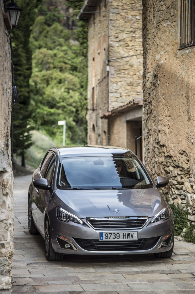 Photo Peugeot 308 II Féline Gris Artense (Espagne)