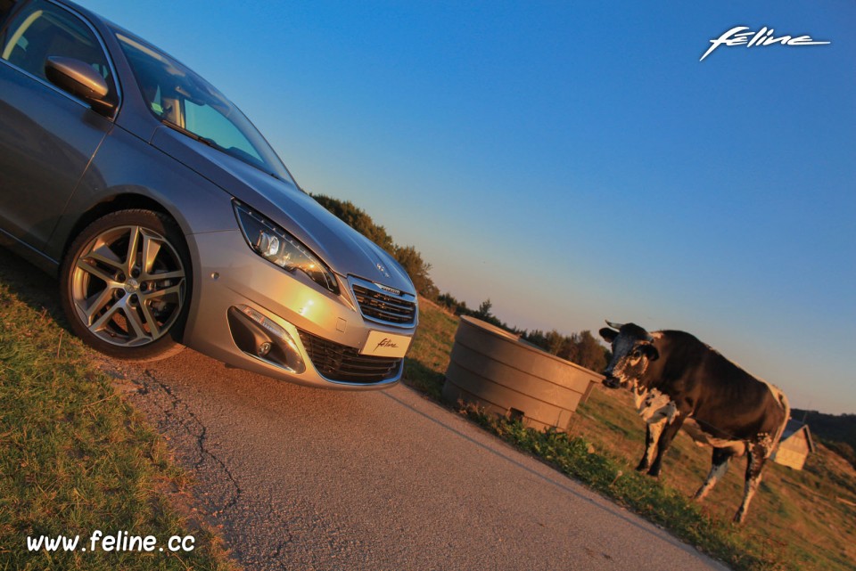 Photo essai Peugeot 308 II Féline Gris Artense 1.6 e-HDi 115 -1-023