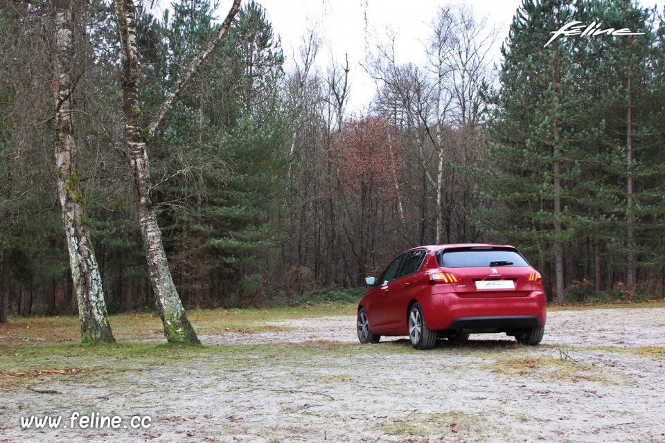 Photo Essai Peugeot 308 II Allure Rouge Rubi - 1.6 THP 125 ch BVM6 - 3-015