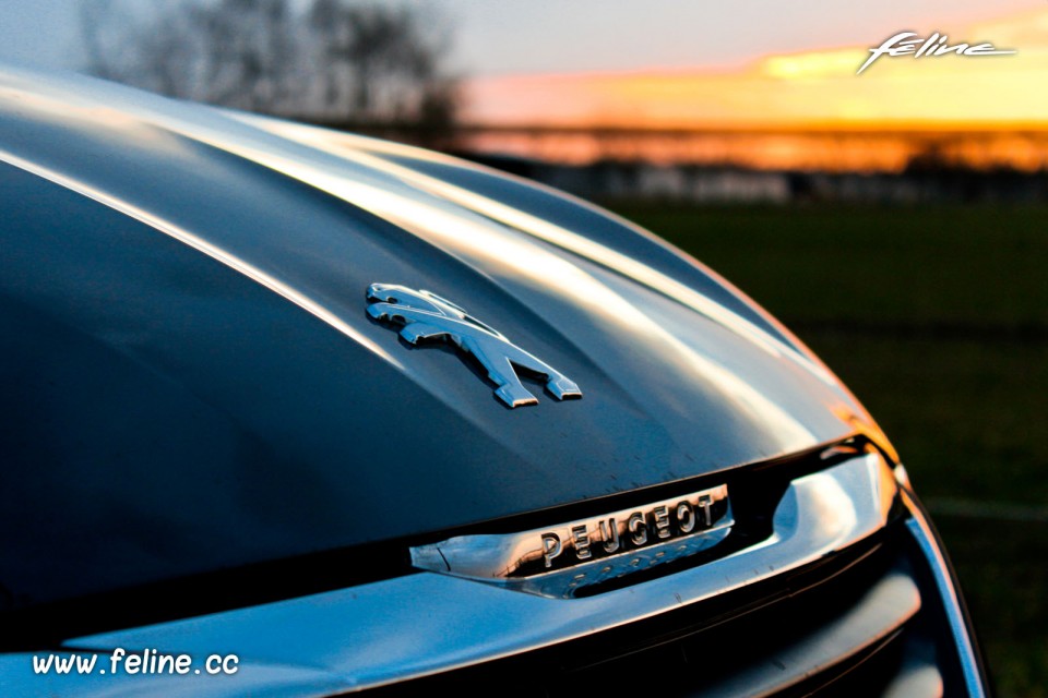 Photo Essai Peugeot 308 II Access Dark Blue - 1.2 PureTech 82 ch