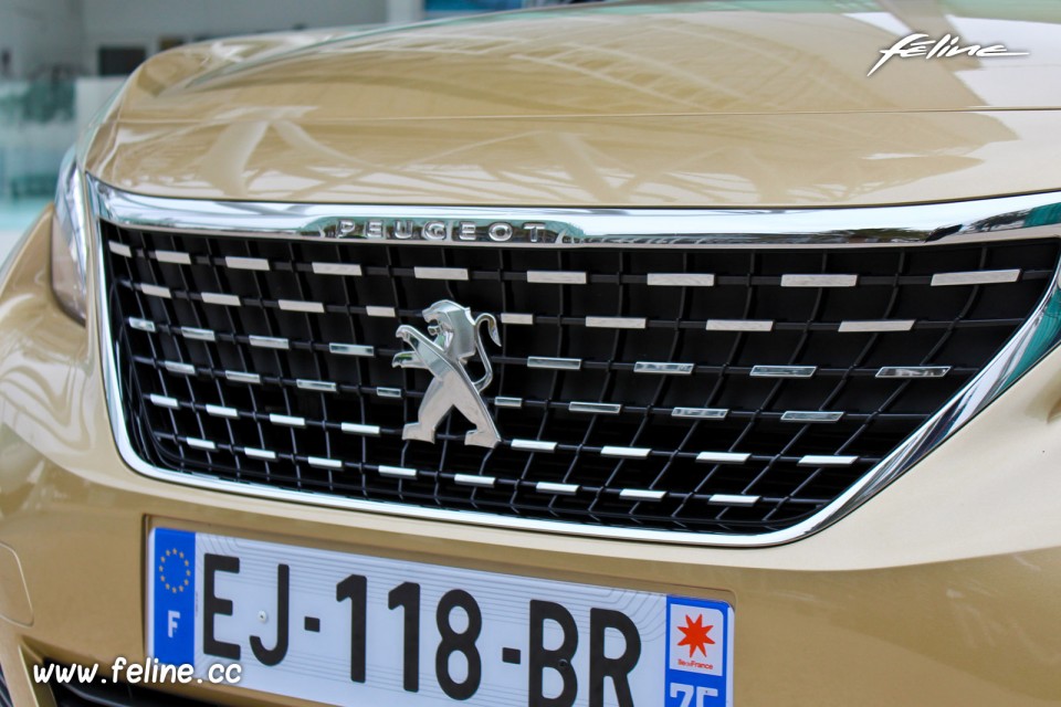 Photo calandre chromée nouvelle Peugeot 5008 II (2017)