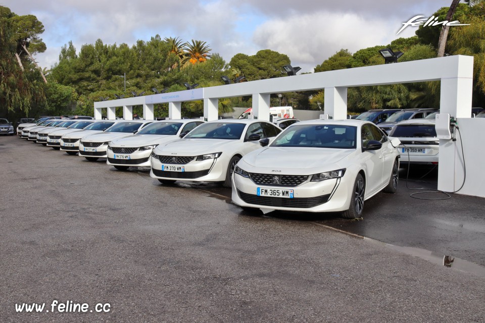 Photo Peugeot 508 II GT HYbrid 225 (2020)