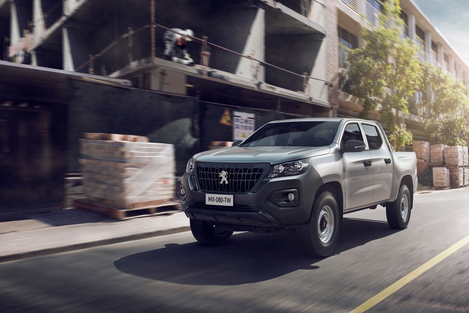 Photo version utilitaire Peugeot Landtrek Pick-up (2020)